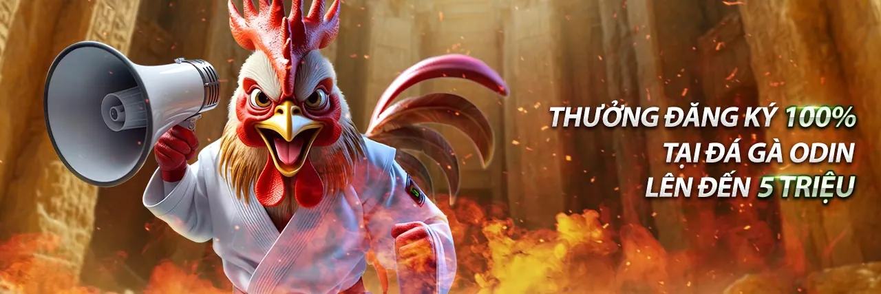 Khuyến mãi và ưu đãi độc quyền trên ứng dụng VIP66